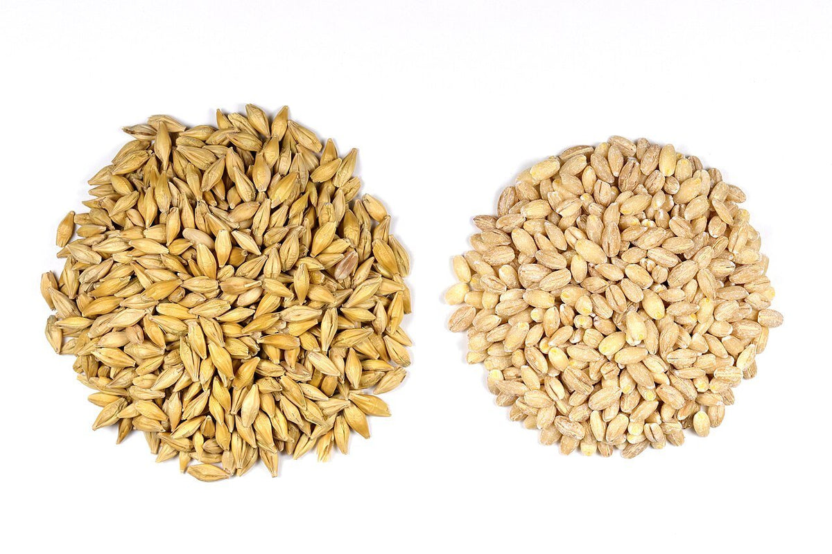 Jau (Barley) Atta 1kg