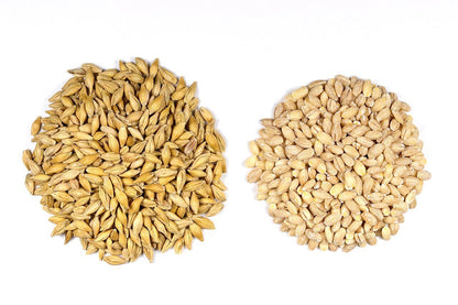 Jau (Barley) Atta 1kg