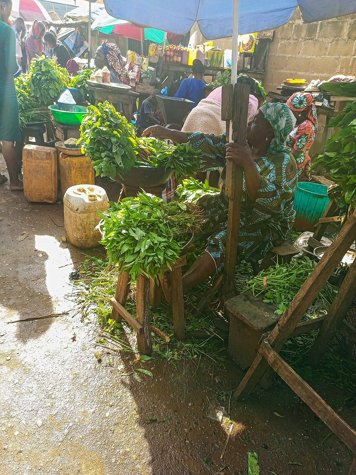 Seasonal Sabzi Box 5kg